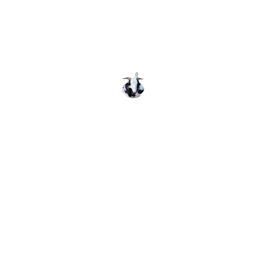 alrazzaqmeathouse.com