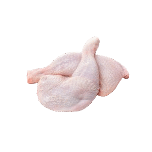 Thigh